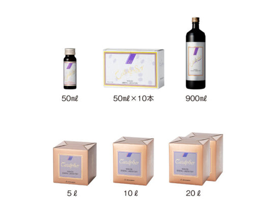 野口カタライザー21