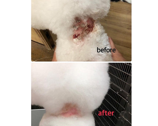 アカエゾマツ スキンプロテクトオイル【犬・猫用】