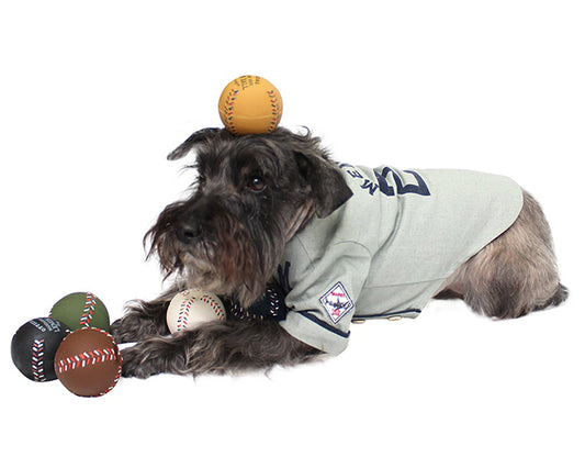 ラテックス レモンボール