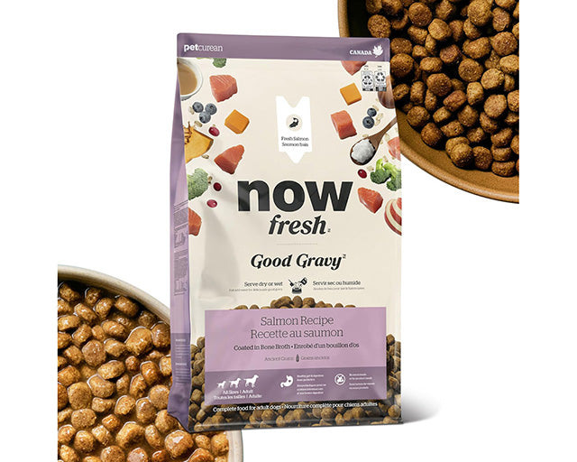 NOW FRESH グッドグレービー オールブリード サーモン（標準粒）1.59kg