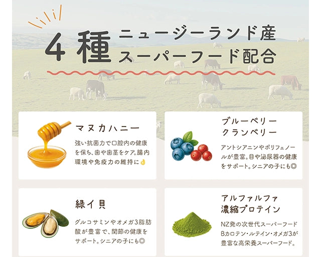 HITOWAN(ヒトワン)フリーズドライ ビーフ