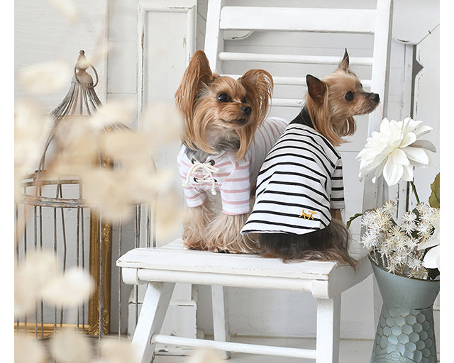 ロペピクニック レースアップボーダーTシャツ(ピンク)