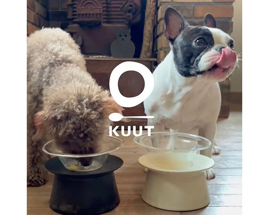 KUUT クウト 佐賀県・脊振山 天然いのししのボーンブロス