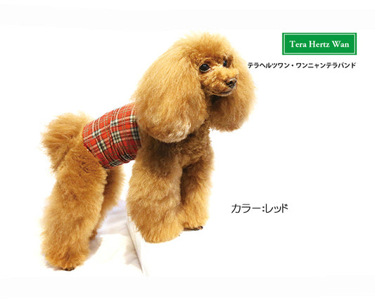 テラヘルツ ワンニャンテラバンド(チェック柄)