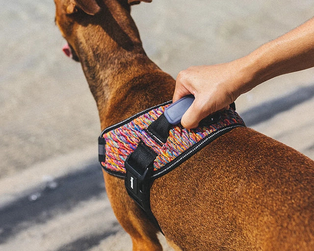 zee.dog(ジードッグ) ボーテックスフライハーネス