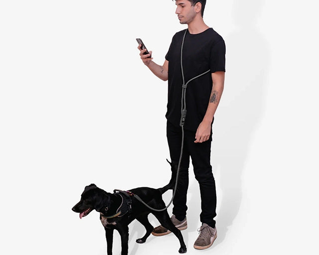 zee.dog(ジードッグ) チタニウムグレー ハンズフリーリーシュ