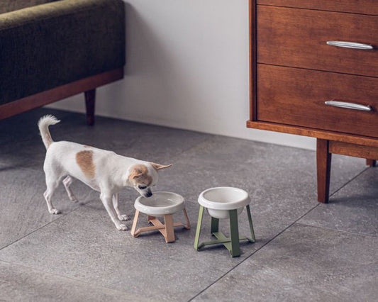 pecolo(ペコロ)フードスタンド Sサイズ