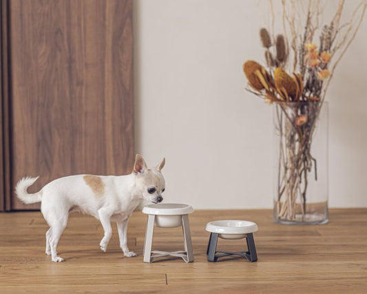 pecolo(ペコロ)フードスタンド S tallサイズ