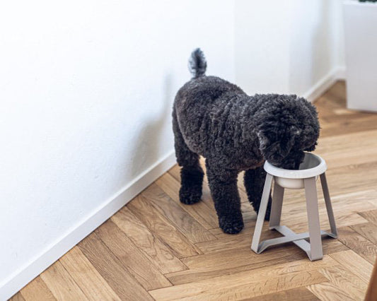 pecolo(ペコロ)フードスタンド S high tallサイズ