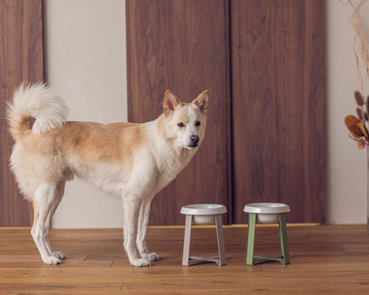 pecolo(ペコロ)フードスタンド L tallサイズ