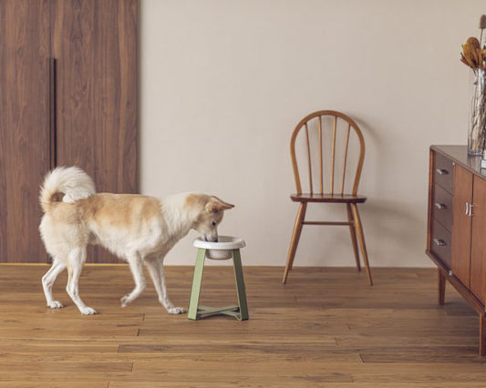 pecolo(ペコロ)フードスタンド LL tallサイズ