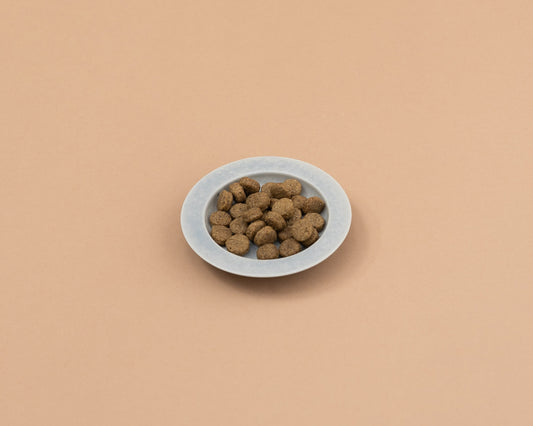 プロステージ ル・シアン ポーク アダルト(成犬用)