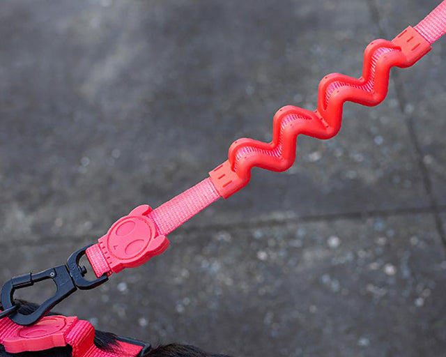 zee.dog(ジードッグ) ネオンコーラルラフリード