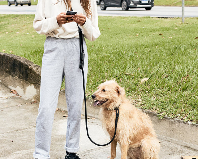 zee.dog(ジードッグ) ゴッサム ハンズフリーリーシュ