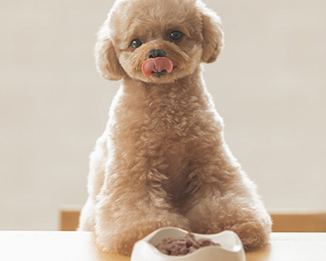 Yum Yum Yum!(ヤムヤムヤム) チキンドライタイプ