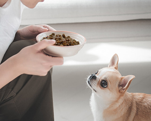Yum Yum Yum!(ヤムヤムヤム) チキン やわらかドライタイプ