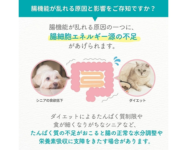 L-グルタミンパウダー