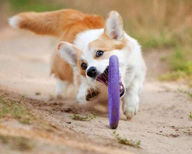 PULLER（プラー）