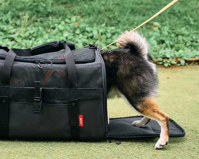 OGK　ドライブペットキャリー