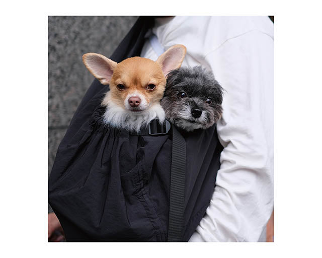 MBドッグスリング