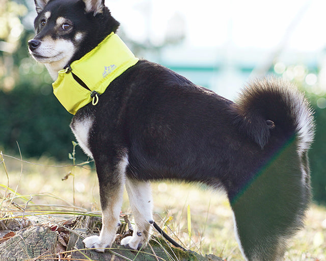 iDog　アイスホールド　ネッククーラー 保冷剤付き