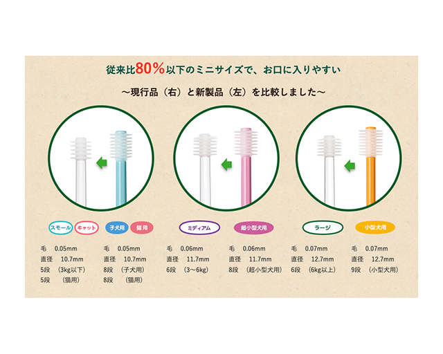シグワン　コンパクト