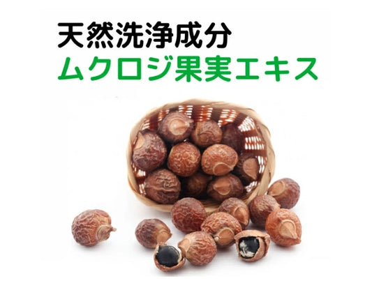 水のいらないワンコの泡シャン（無香料）