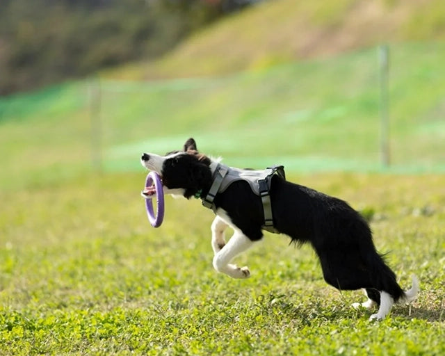 PULLER（プラー）