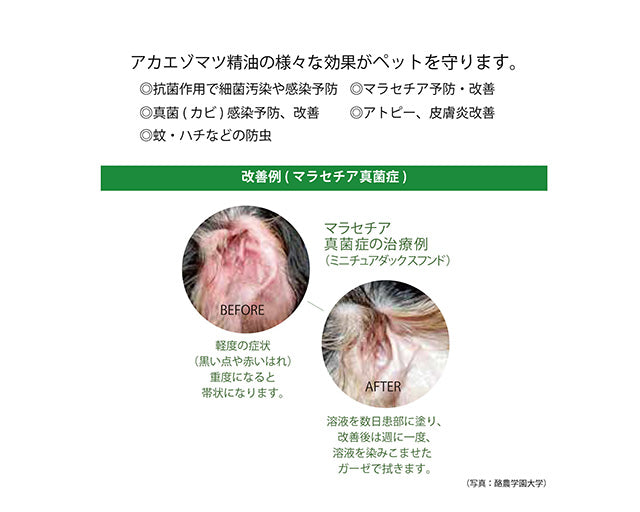 アカエゾマツ　スキンプロテクトスプレー【犬・猫用】