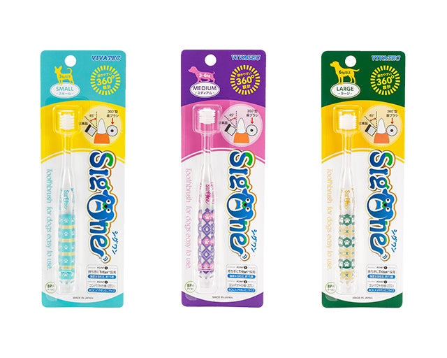 シグワン　コンパクト