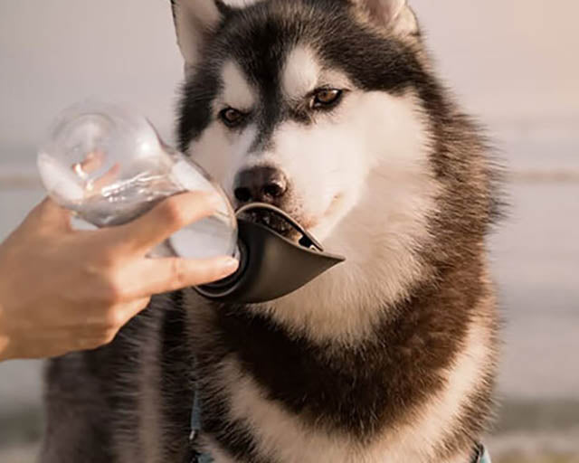 ドゥーグ　３in１ドッグウォーターボトル