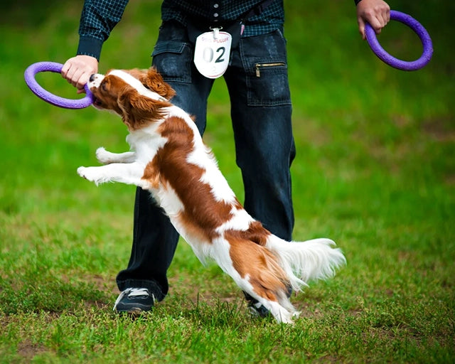 PULLER（プラー）