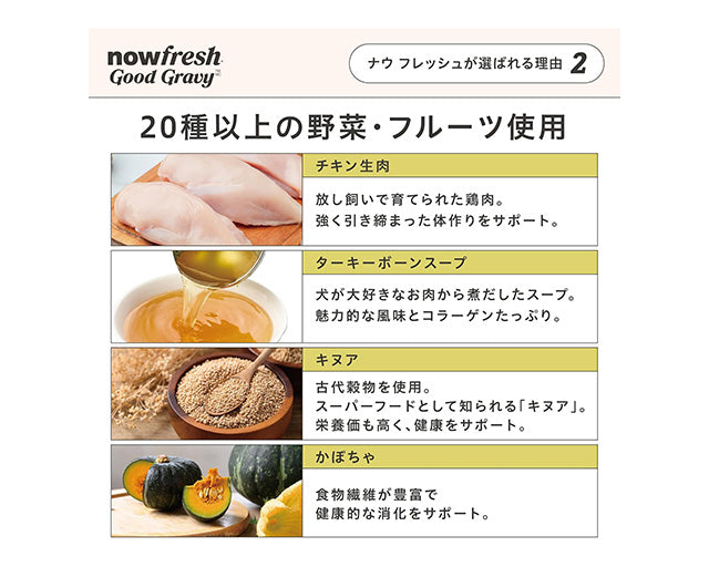 NOW FRESH グッドグレービー スモールブリード サーモン（小粒）