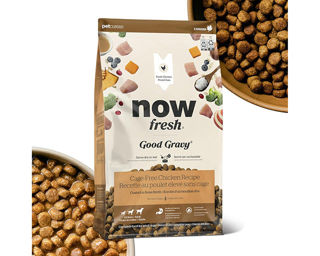 NOW FRESH グッドグレービー  オールブリード  ケージフリーチキン（標準粒）1.59kg