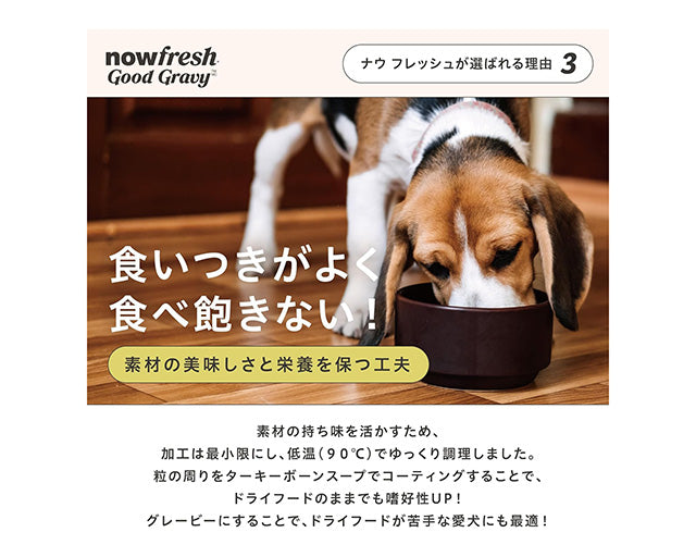 NOW FRESH グッドグレービー スモールブリード サーモン（小粒）