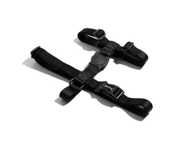 zee.dog（ジードッグ）ゴッサム　Hハーネス