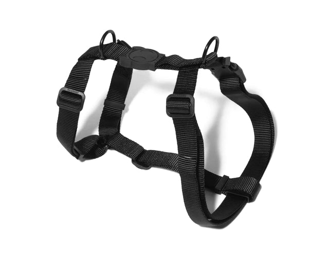 zee.dog（ジードッグ）ゴッサム　Hハーネス