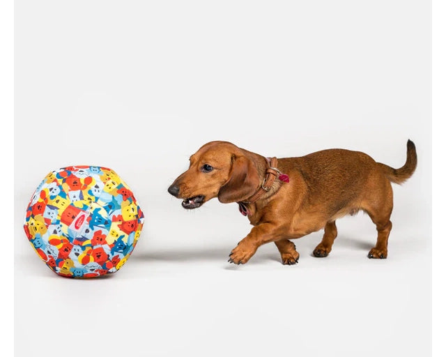 PET BLOON　ドッグバルーン
