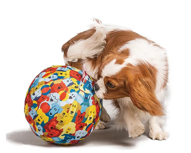 PET BLOON　ドッグバルーン