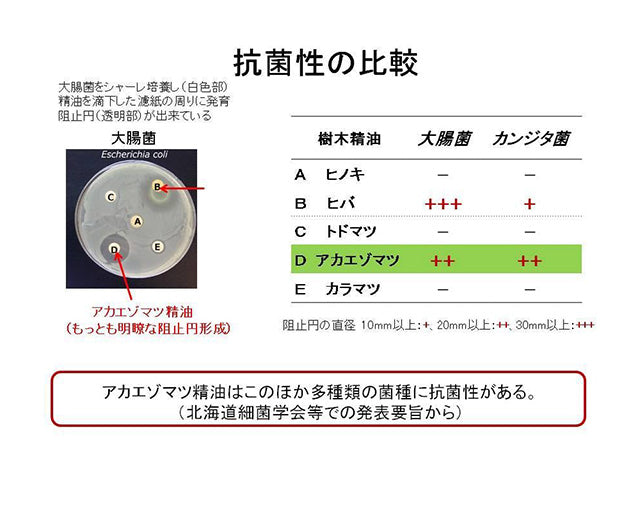 アカエゾマツ　スキンプロテクトオイル【犬・猫用】