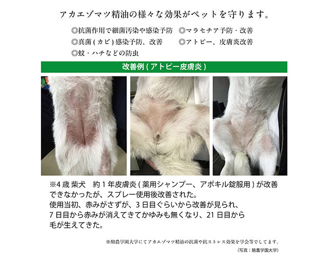 アカエゾマツ　スキンプロテクトスプレー【犬・猫用】