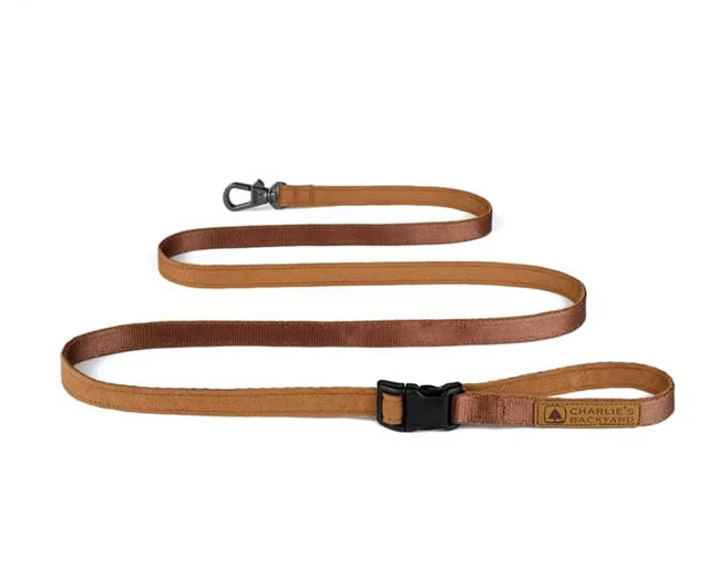 チャーリーズバックヤード　イージーリーシュ