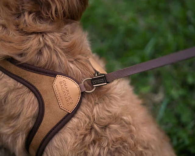 チャーリーズバックヤード　イージーハーネス