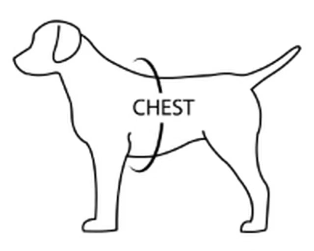 チャーリーズバックヤード　イージーハーネス