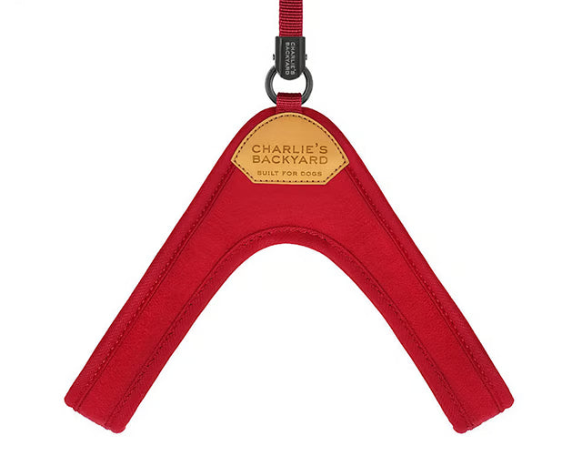 チャーリーズバックヤード　イージーハーネス