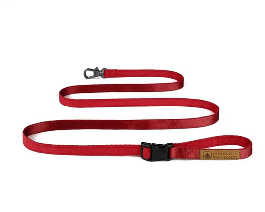 チャーリーズバックヤード　イージーリーシュ