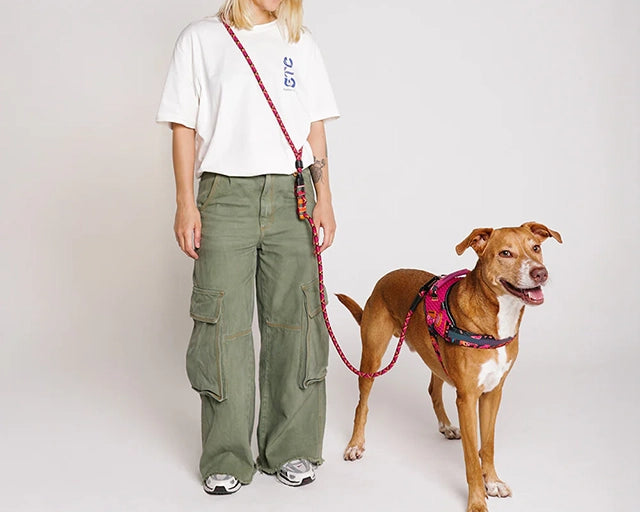 zee.dog（ジードッグ） ファームリオ　セルバ　ハンズフリーリーシュ