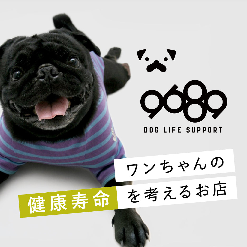 国内人気作家様による、まっしろなウールのわんちゃん　新品未使用 国内人気作家様による、まっしろなウールのわんちゃん 新品未使用