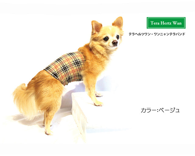 テラヘルツ　ワンニャンテラバンド（チェック柄）