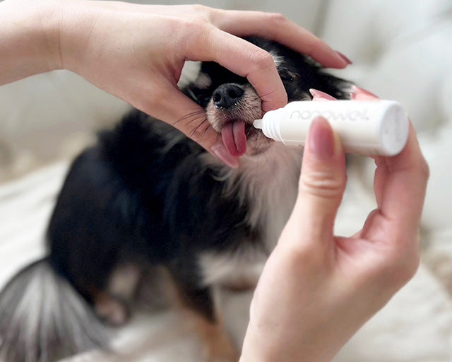 nanowell®️（ナノウエル） オーラルケア（愛犬用口内洗浄液） 20ml